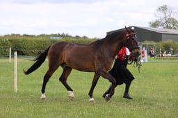 J36_7603 2026