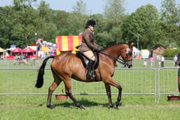C34_0842 2026