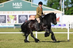 574 HOYS Ridden Fells