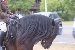 E66_4602 2026