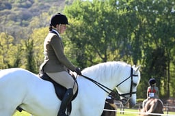 S19_8573 2026