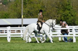 H19_0008 2026