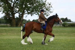 E36_1681 2026