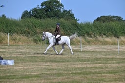 S60_0664 2026