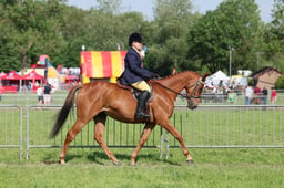 C34_0607 2026