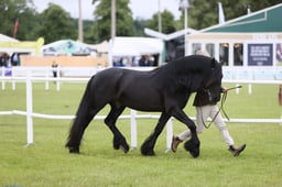 E45_0420 2026