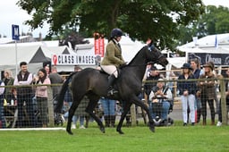 A44_1705 2026