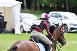 D35_0990 2026