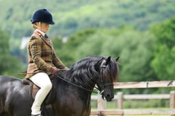 H52 Ridden Dartmoor