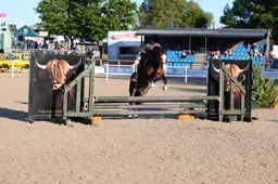 571 Nursery Stakes Final