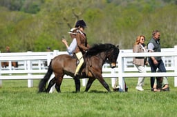 H19_0697 2026