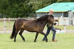 E41_0802 2026