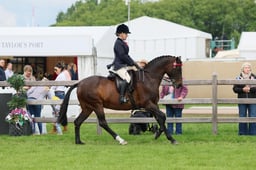 S29_0955 2026