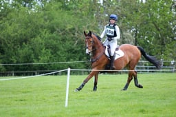 559 RLE CHLOE