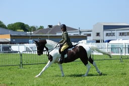 F33_0508 2026
