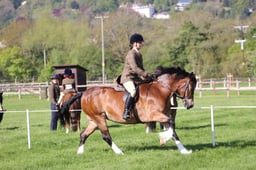 C19_0461 2026