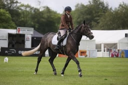 04 SHANNONDALE SEVERINA