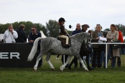 E30_3734 2026