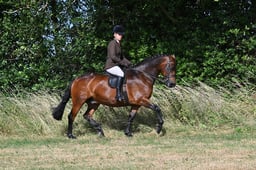 S60_0263 2026