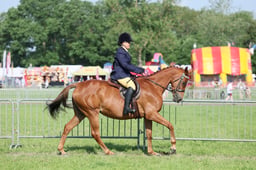 C34_0642 2026