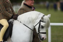 E30_3570 2026