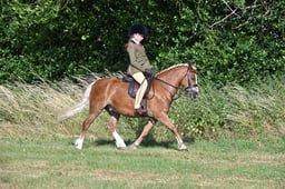 S60_0026 2026