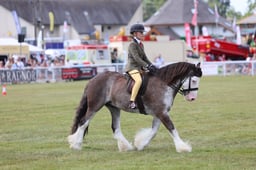 Z68_0772 2026