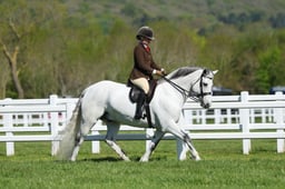H19_0064 2026
