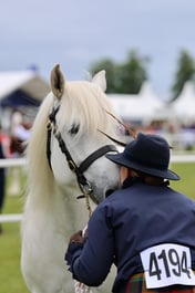 C44_0298 2026