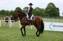 111 Spanish Parade Horse Class