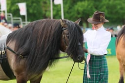 S29_0762 2026