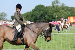 C33_0779 2026