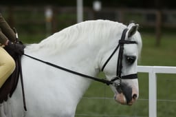 E30_4390 2026
