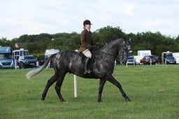 E36_0435 2026