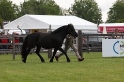 W29_0591 2026