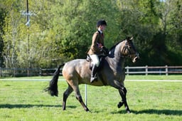 M19_0997 2026