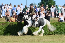 S61_0573 2026