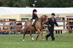 144 Show Pony Lead Rein