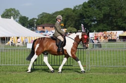 C34_0474 2026