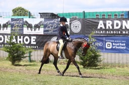 Show Pony Championship