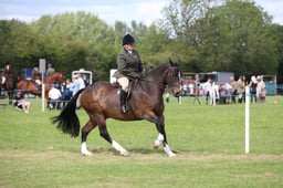W36_2203 2026