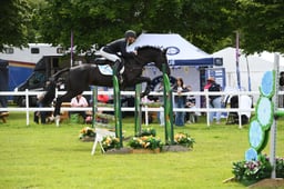 CLH304 Foxhunter  1.20m Open
