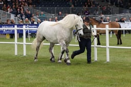 M44_0795 2026