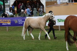 M45_3390 2026