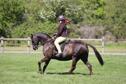 C19_1519 2026