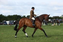 E36_0411 2026