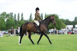H36_8641 2026
