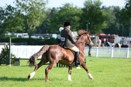 F33_0103 2026