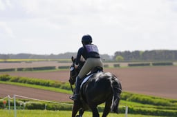 D1704323 2026