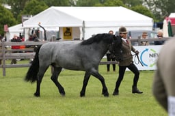 W29_0682 2026